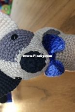 Jack Russell by pica pau