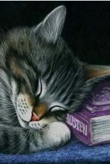 HAED HAEIAG140 Great Reader by Irina Garmashova