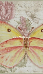 Chimera Vintage Butterfly 15 by Jane Shasky