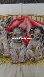 Three puppies in front of basket