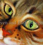 HAED HAEBL5417 Tabby the Beggar by Bernadette Lusk