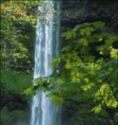 Golden Kite GK 520 - Silver Falls