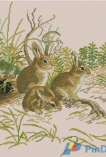 Eva Rosenstand 12-972  Rabbits