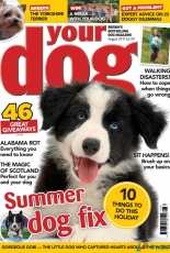 Your Dog August 2017