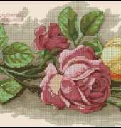 Dimensions 13720 Rose Cuttings XSD