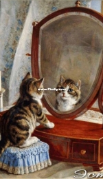 EstE 079 Kittens and Mirror XSD