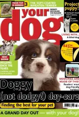 Your Dog - August 2018