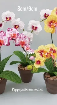 Pippa Patterns - Connie Rockliff - Moth Orchid