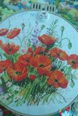Poppies