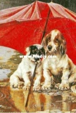 Golden Kite GK 2113 - FRIENDS XSD