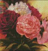 Peonies_YH990-