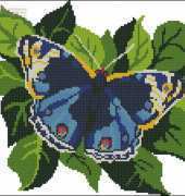 PCStudia C-042 blue butterfly
