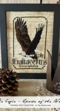 Primitive Hare ~ The Eagle Pattern