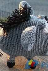a wild boar