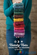 Toasty Toes:  Socks for All Seasons by Knit Picks