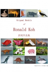 Origami Models of Ronald Koh