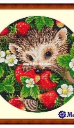 Merejka K-36 - Strawberry XSD