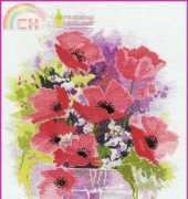 Derwentwater Designs - Watercolours Poppies XSD