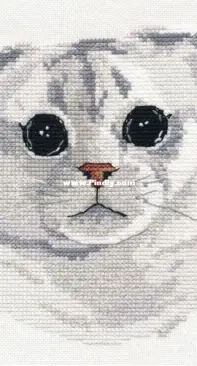 Oven OBEH Aries (Овен) 1323 - Scottish Fold XSD