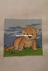 Lion Cub