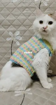 Handmade crochet pet clothes