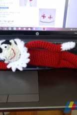 elf - on the shelf