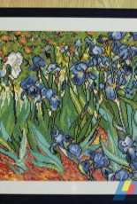 Irises van Gogh