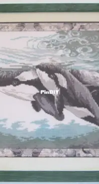Whales, killer whales, orcas