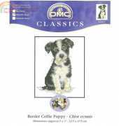 DMC K5422 Border Collie xsd