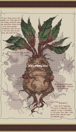 Rin-Stitch - Mandragora by Ekaterina Tarasova