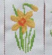 Spring flowers