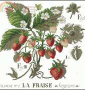 Les Brodeuses Parisiennes - L'etude aux Fraises 1