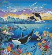 Dimensions 72572 The living Ocean