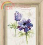 Lanarte PN-0008028 - 34852 Anemone XSD