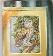 Owl - From Arte Femminile 0029