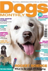 Dogs Monthly November 2017