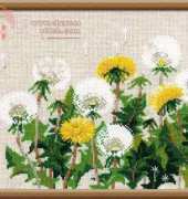 Riolis 807 - Dandelions