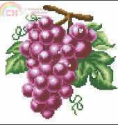 DOME 240405 Grape (red、green、purple)