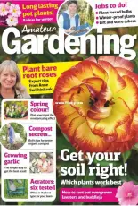 Amateur Gardening - 21 October 2017