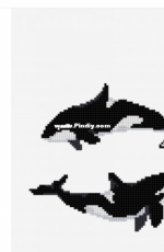 DMC Orca Killer Whale - Free
