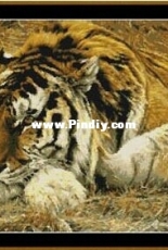Kustom Krafts KK 98073 Raja Siberian Tiger XSD