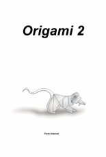 Origami 2 Form Internet