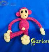 I am a monkey