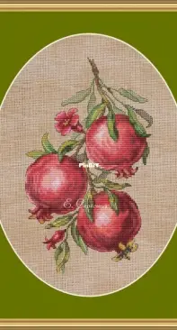 Lovely Stitches - Pomegranates by Ekaterina Seryogina