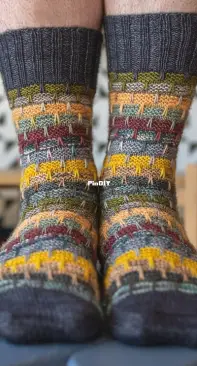 Dustland Socks - Westknits