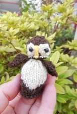 The Owl for the innocent Big Knit