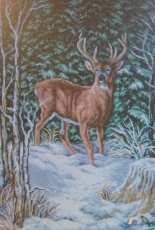 Noble Deer from Galeria Broderia 2013.01 XSD
