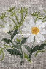 Eva Rosenstand & Clara Weaver 26-3627 - Daisies Napkin