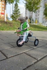 rat and bicycle