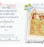 Il Mondo delle nuvole Forget Me not Life is country